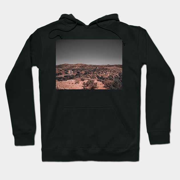 Road to Joshua Tree National Park Adventures V3 Hoodie by Family journey with God